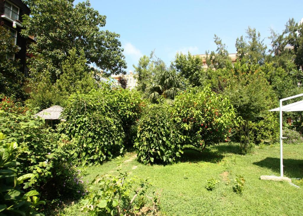 Sevkibey Hotel Alanya Luaran gambar