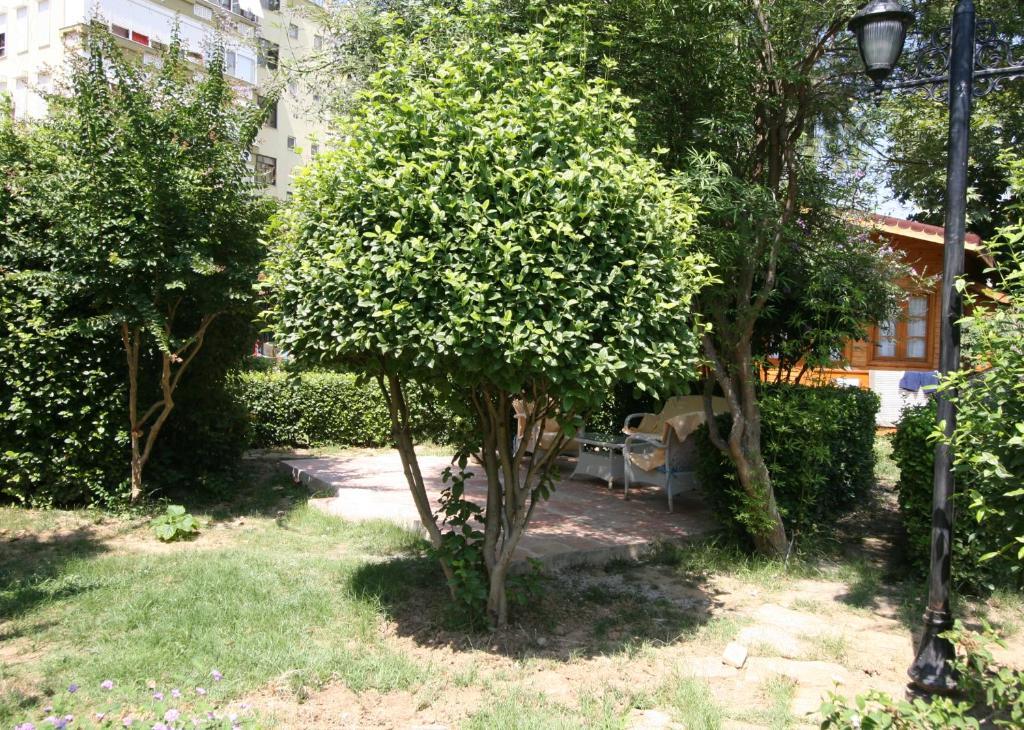 Sevkibey Hotel Alanya Luaran gambar