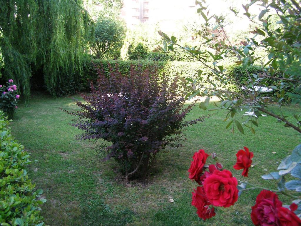 Sevkibey Hotel Alanya Luaran gambar